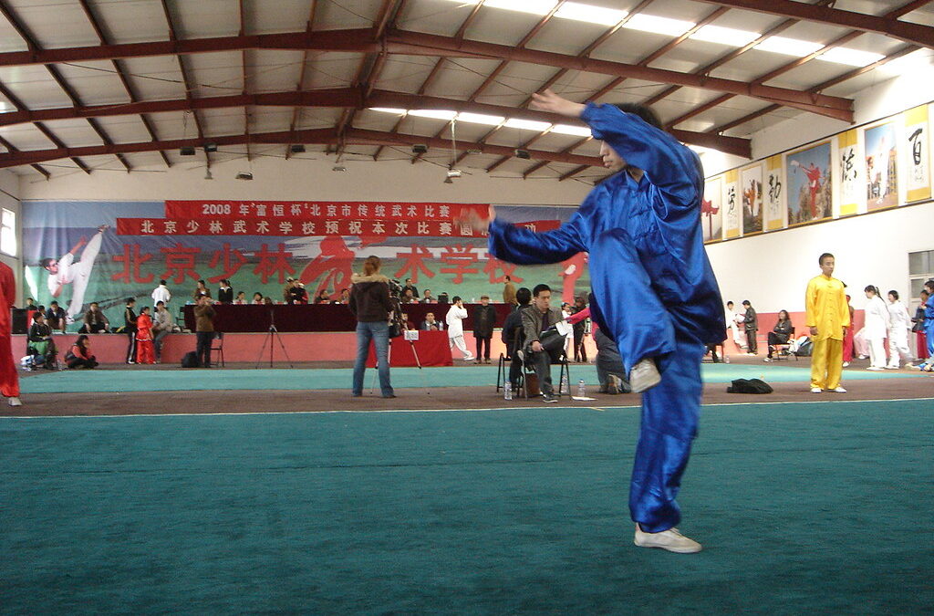 Cuál Academia de Wushu elegir