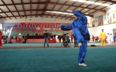 Cuál Academia de Wushu elegir