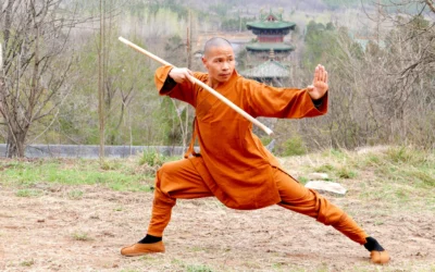Origen y evolución del Wushu